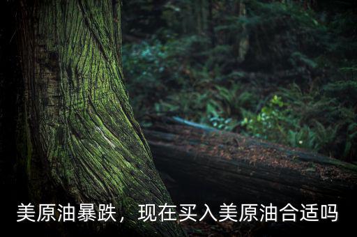 美原油暴跌，現(xiàn)在買入美原油合適嗎
