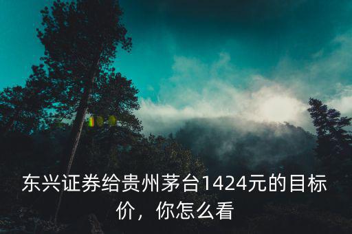東興證券給貴州茅臺1424元的目標(biāo)價，你怎么看