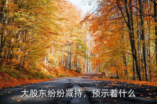 大股東紛紛減持，預(yù)示著什么