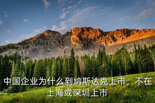 中國企業(yè)為什么到納斯達克上市，不在上?；蛏钲谏鲜? class=