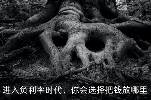 進(jìn)入負(fù)利率時(shí)代，你會(huì)選擇把錢放哪里
