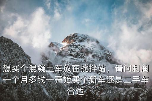 想買個(gè)混凝土車放在攪拌站，請(qǐng)問利潤(rùn)一個(gè)月多錢一開始買個(gè)新車還是二手車合適