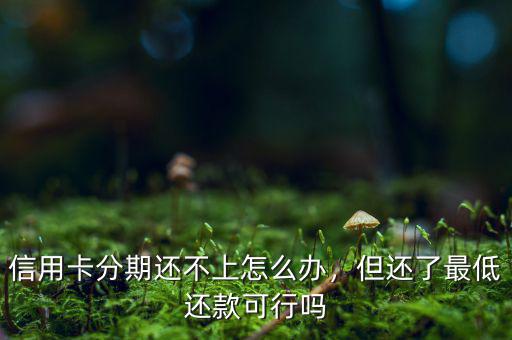信用卡分期還不上怎么辦，但還了最低還款可行嗎