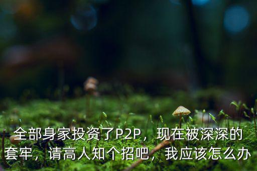 全部身家投資了P2P，現(xiàn)在被深深的套牢，請(qǐng)高人知個(gè)招吧，我應(yīng)該怎么辦