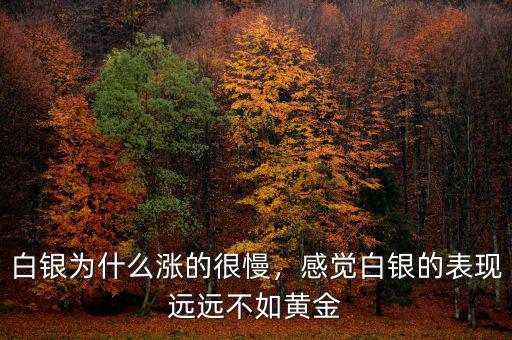 白銀為什么漲的很慢，感覺白銀的表現(xiàn)遠(yuǎn)遠(yuǎn)不如黃金
