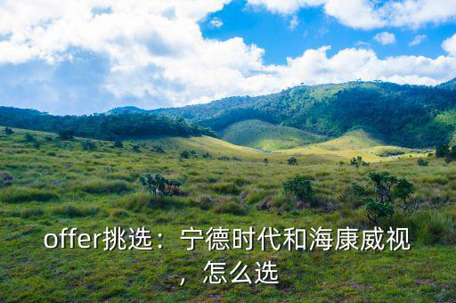 ?？低曔@家公司怎么樣,寧德時(shí)代和海康威視