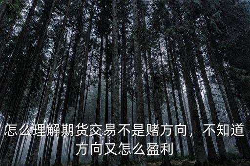 怎么理解期貨交易不是賭方向，不知道方向又怎么盈利
