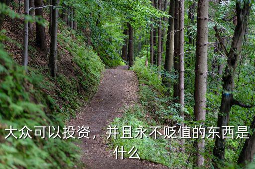 大眾可以投資，并且永不貶值的東西是什么
