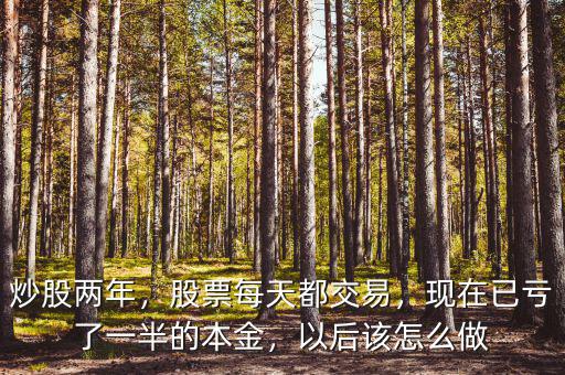 炒股兩年，股票每天都交易，現(xiàn)在已虧了一半的本金，以后該怎么做