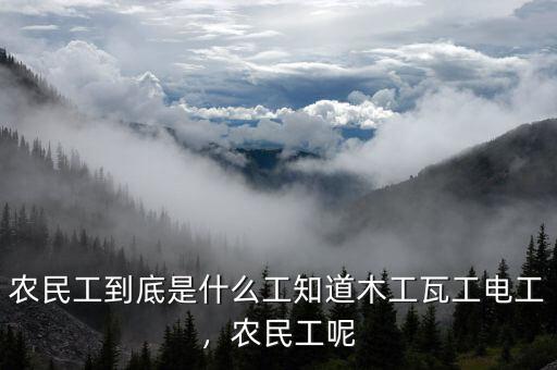 農民工到底是什么工知道木工瓦工電工，農民工呢