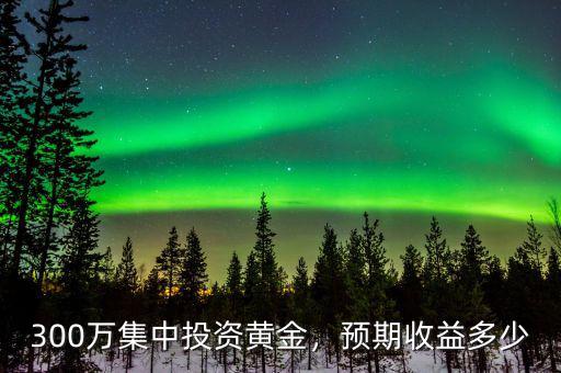300萬集中投資黃金，預(yù)期收益多少
