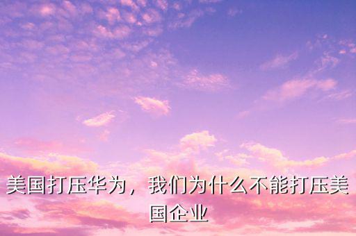 美國(guó)打壓華為，我們?yōu)槭裁床荒艽驂好绹?guó)企業(yè)