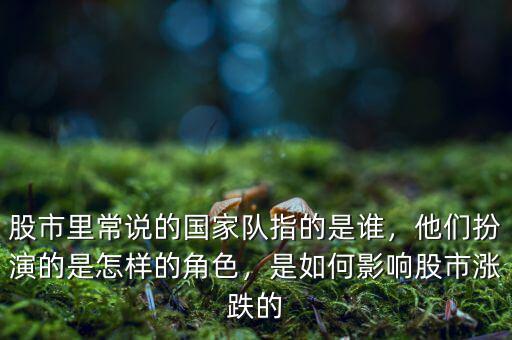 股市中的國家隊(duì)指什么,股市里常說的國家隊(duì)指的是誰