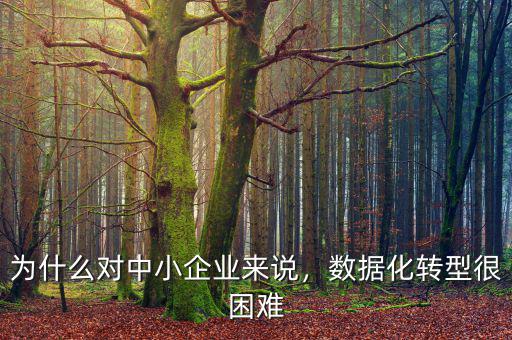 為什么對(duì)中小企業(yè)來(lái)說(shuō)，數(shù)據(jù)化轉(zhuǎn)型很困難