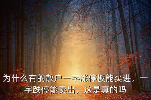 為什么有的散戶一字漲停板能買進，一字跌停能賣出，這是真的嗎