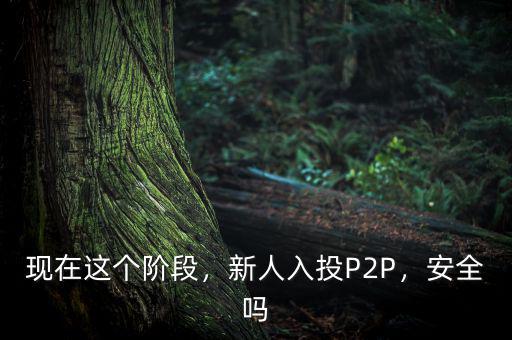 現(xiàn)在這個(gè)階段，新人入投P2P，安全嗎
