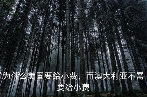 為什么美國要給小費(fèi)，而澳大利亞不需要給小費(fèi)
