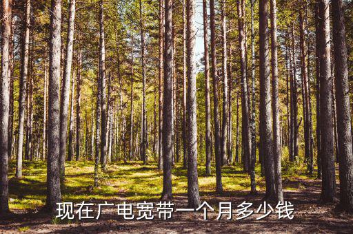 寶雞廣電網絡寬帶怎么樣,廣電寬帶怎么樣