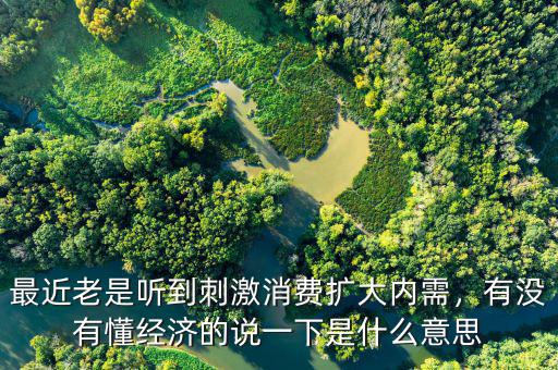 最近老是聽到刺激消費擴大內需，有沒有懂經濟的說一下是什么意思