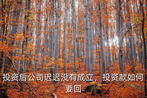 投資后公司遲遲沒有成立，投資款如何要回