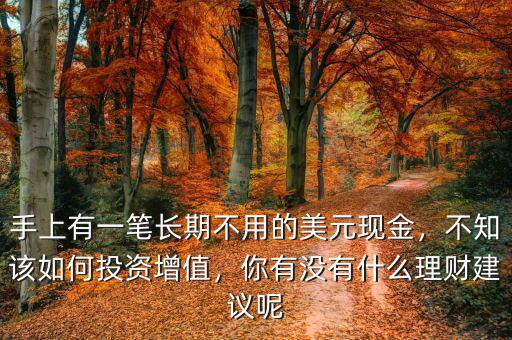 手上有一筆長期不用的美元現(xiàn)金，不知該如何投資增值，你有沒有什么理財建議呢