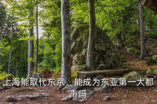 上海能取代東京，能成為東亞第一大都市嗎