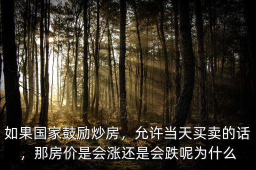 如果國家鼓勵炒房，允許當(dāng)天買賣的話，那房價是會漲還是會跌呢為什么