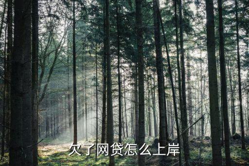 欠了網貸怎么上岸