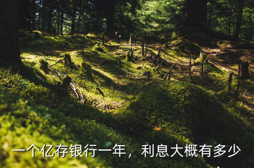 一個億存銀行一年，利息大概有多少