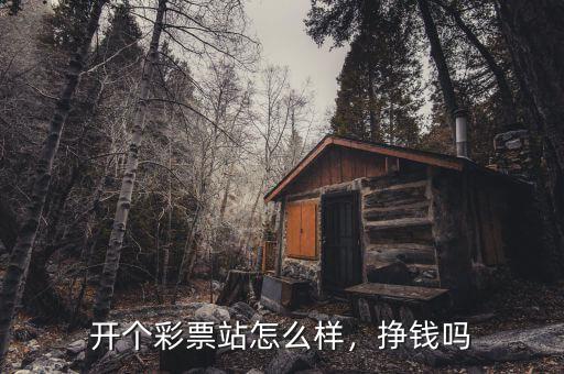 開個(gè)彩票站怎么樣，掙錢嗎