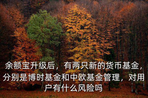 余額寶升級后，有兩只新的貨幣基金，分別是博時(shí)基金和中歐基金管理，對用戶有什么風(fēng)險(xiǎn)嗎