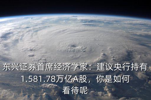 東興證券首席經(jīng)濟學(xué)家：建議央行持有1.581.78萬億A股，你是如何看待呢
