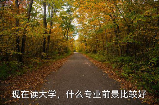 現(xiàn)在讀大學(xué)，什么專業(yè)前景比較好