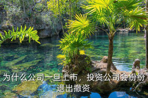 為什么公司一旦上市，投資公司會紛紛退出撤資
