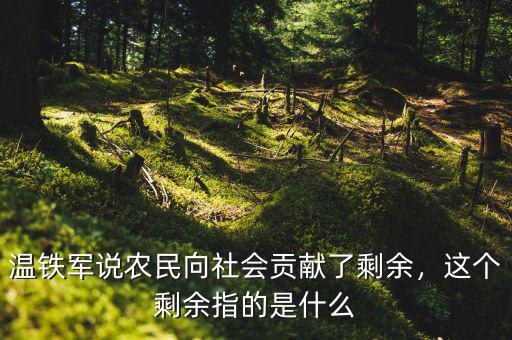 溫鐵軍說(shuō)農(nóng)民向社會(huì)貢獻(xiàn)了剩余，這個(gè)剩余指的是什么