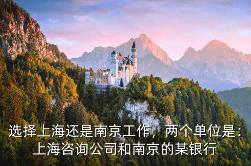 選擇上海還是南京工作，兩個單位是：上海咨詢公司和南京的某銀行