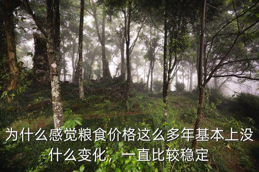 為什么感覺糧食價格這么多年基本上沒什么變化，一直比較穩(wěn)定