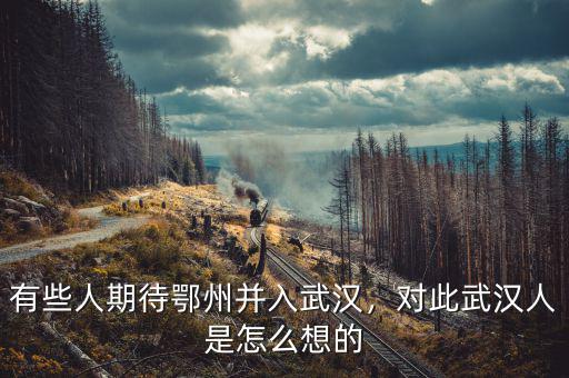 有些人期待鄂州并入武漢，對(duì)此武漢人是怎么想的