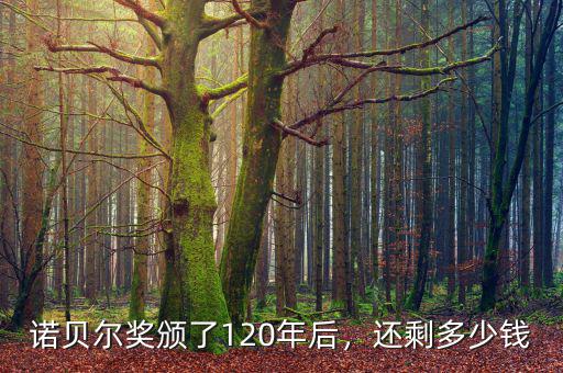 諾貝爾獎(jiǎng)?lì)C了120年后，還剩多少錢