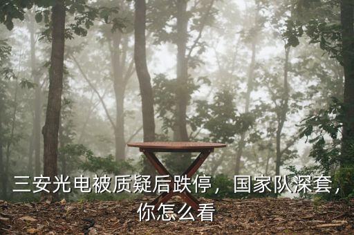 三安光電被質(zhì)疑后跌停，國家隊深套，你怎么看