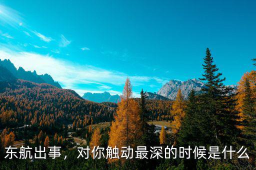 東航出事，對你觸動(dòng)最深的時(shí)候是什么