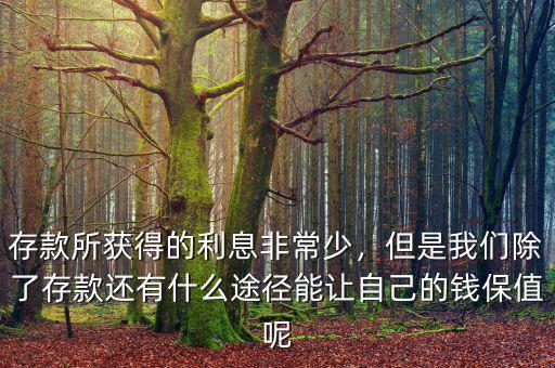 存款所獲得的利息非常少，但是我們除了存款還有什么途徑能讓自己的錢保值呢