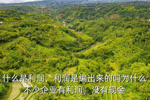 什么是利潤(rùn)，利潤(rùn)是編出來(lái)的嗎為什么不少企業(yè)有利潤(rùn)，沒(méi)有現(xiàn)金