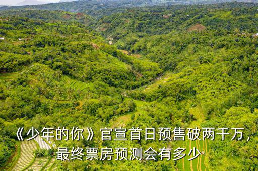 《少年的你》官宣首日預(yù)售破兩千萬(wàn)，最終票房預(yù)測(cè)會(huì)有多少