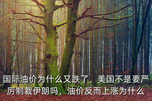 國(guó)際油價(jià)為什么又跌了，美國(guó)不是要嚴(yán)厲制裁伊朗嗎，油價(jià)反而上漲為什么