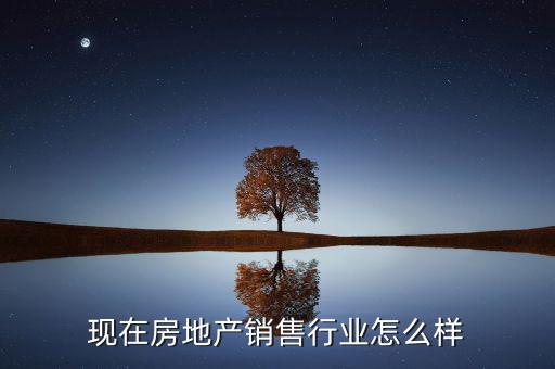 現(xiàn)在房地產銷售行業(yè)怎么樣