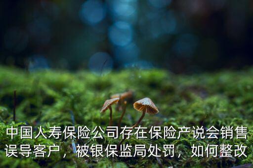 中國人壽保險公司存在保險產(chǎn)說會銷售誤導(dǎo)客戶，被銀保監(jiān)局處罰，如何整改