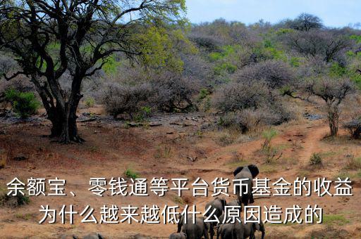 余額寶、零錢通等平臺貨幣基金的收益為什么越來越低什么原因造成的