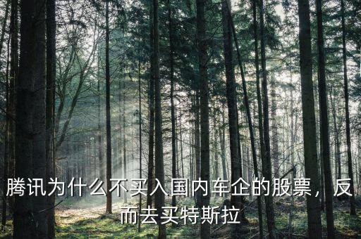 騰訊為什么不買入國(guó)內(nèi)車企的股票，反而去買特斯拉
