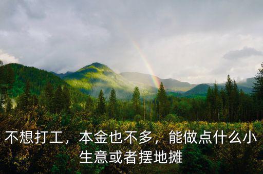 不想打工，本金也不多，能做點(diǎn)什么小生意或者擺地?cái)? class=